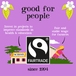 Organic Fairtrade Pure Green Tea 80 bags