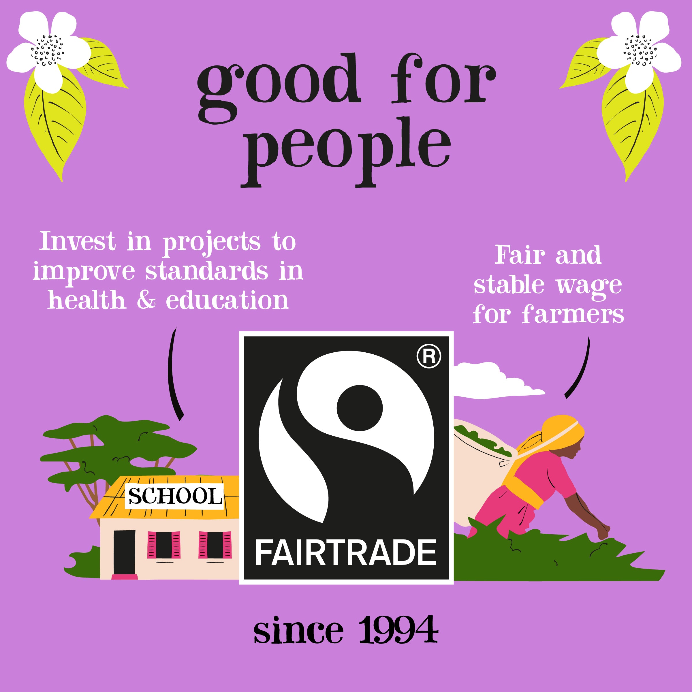 Fairtrade Tea 250 envelopes